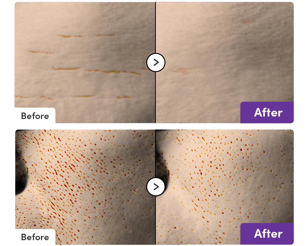 Eqqualberry Bakuchiol Plumping Serum 30ml