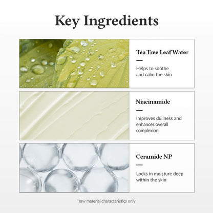 Dr.Althea 345 Relief Cream – Daily Soothing Moisturizer & Post‑Acne Relief Cream | Gentle Hydration for Sensitive Skin - Amora Skin