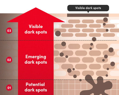 Eqqualberry Vitamin Illuminating Serum – Dark Spot Correcting & Brightening Serum | Brightening & Tone Correcting Skincare - Amora Skin