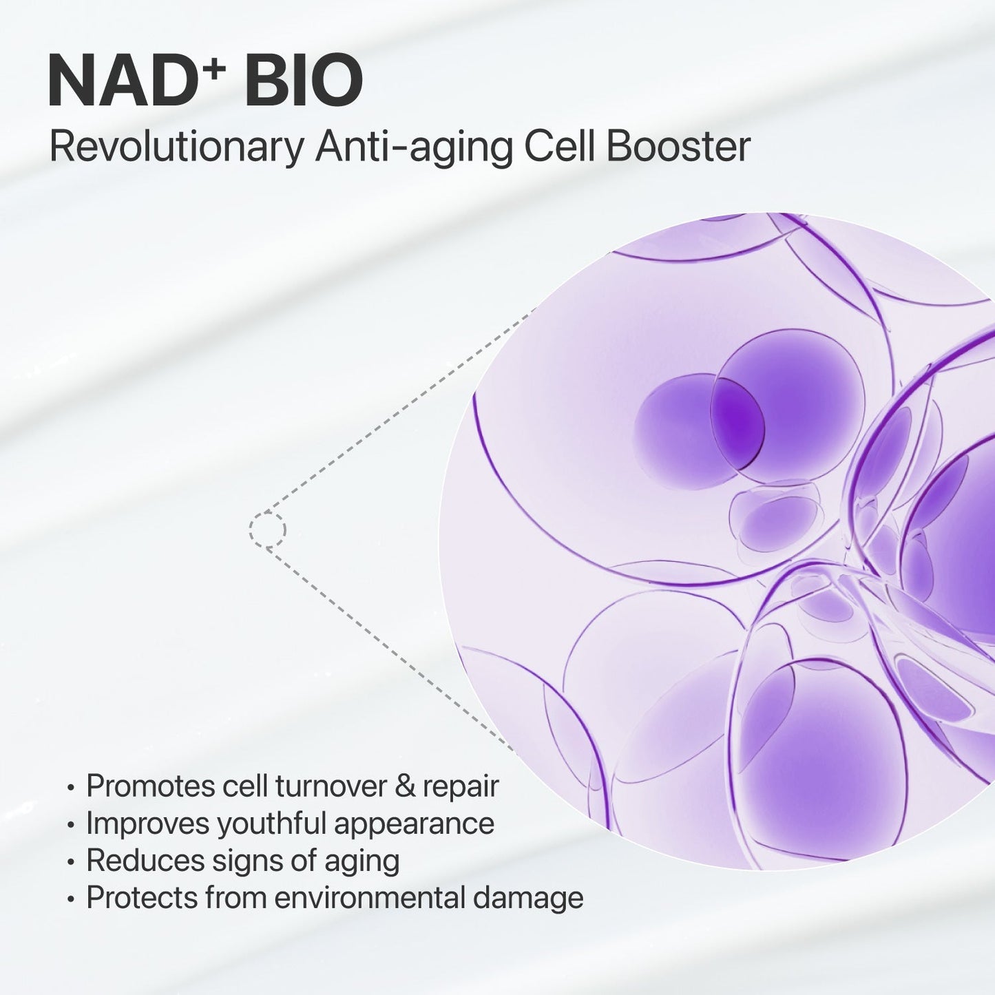 Numbuzin No.9 NAD+ BIO Lifting - sil Essence – Anti - Aging Firming & Wrinkle - Reducing Essence | Korean Skincare - Amora Skin